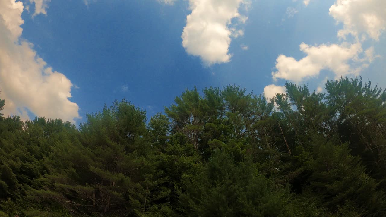 A summer's day clouds time lapse over pine trees in the Appalachian mountains. This is in the catskills subrange in new york's hudson valley.
