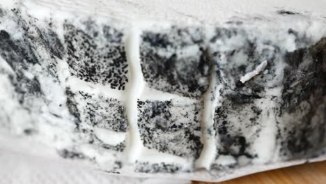 close-up of a piece of cheese with a textured rind
