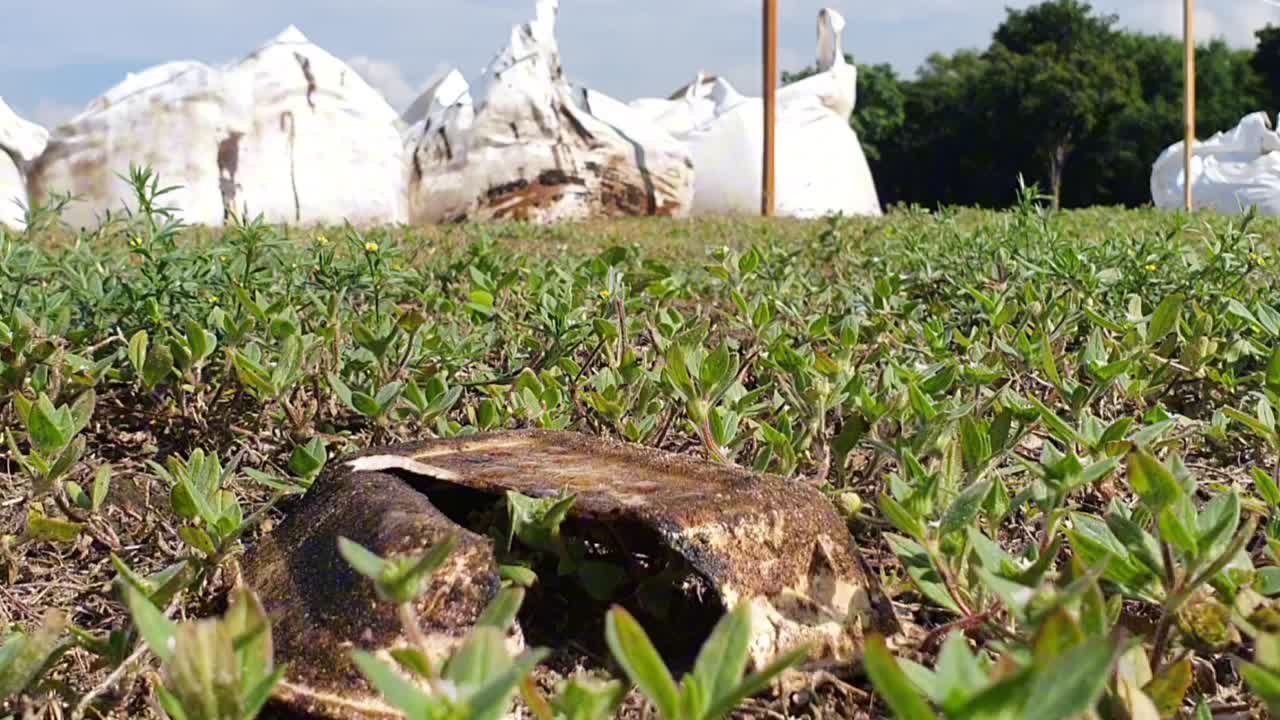 검은 기름으로 인 폴리스티렌 테이크아웃 컨테이너는 기름에 은 해변을 청소합니다.