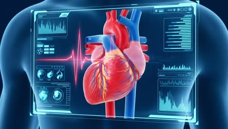 detailed anatomical visualization of the human heart displayed on a digital interface, highlighting cardiac function and health monitoring mechanisms