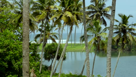 Tropische-Strände-In-Indien-Kerala-Mit-Kokospalmen-Und-Seen