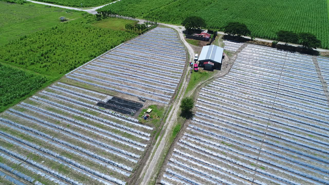 큰 시골 농장의 넓은 풀아웃 공중 샷