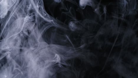 real white smoke moves on black background