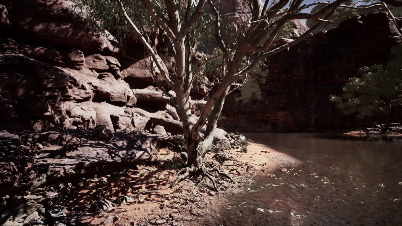 río de montaña y coloridas montañas de colorado