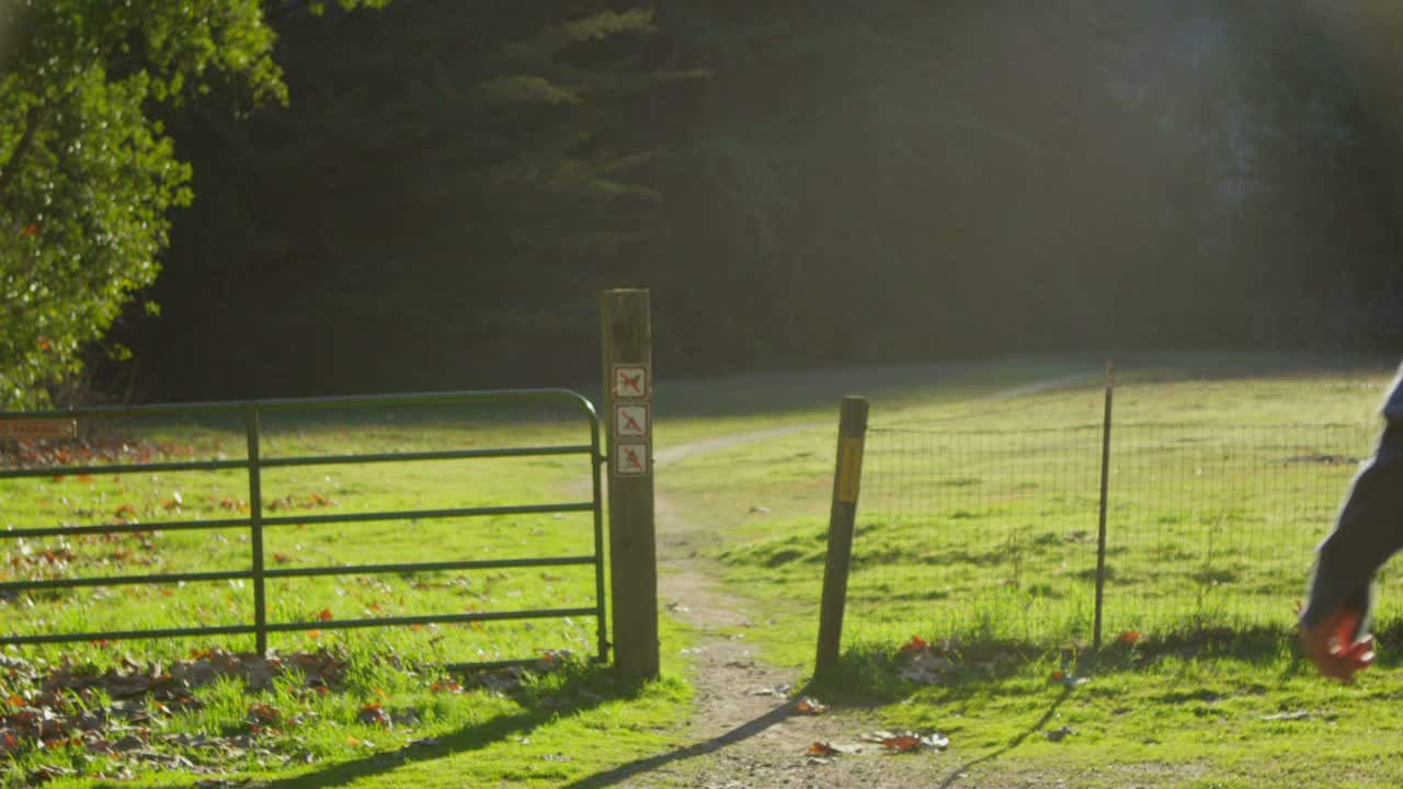 부부는 숲을 향해 문을 통해 실행