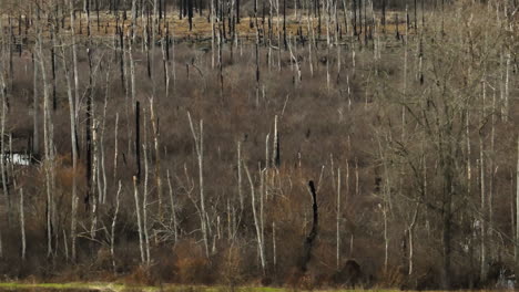 Punto-De-Eliminación-Del-Bosque-De-Humedales-En-Arkansas,-Tiro-Deslizante-Lateral,-Día-De-Invierno.