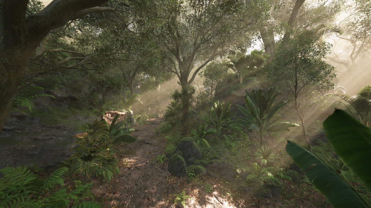 Sunlight filters through dense forest canopy in a serene jungle landscape