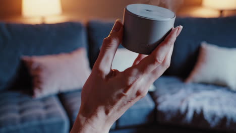 hand holding a gray essential oil diffuser in a living room