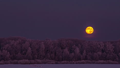 Full-moon-descending-as-it-sets-beyond-the-forest-at-winter-with-snow-and-frost-on-the-tree-branches---time-lapse