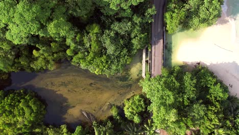 Imágenes-De-Drones-A-Vista-De-Pájaro-De-Una-Carretera-Asfaltada,-Pasando-Vehículos-Entre-El-Río-Y-La-Playa-Dentro-Del-Bosque,-Mahe,-Seychelles-60-Fp