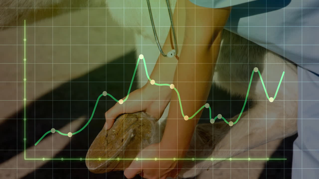 Female veterinarian examining hoof in barn, with stethoscope icon and animated health chart