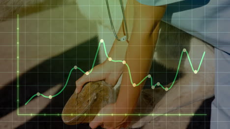 female veterinarian examining hoof in barn, with stethoscope icon and animated health chart