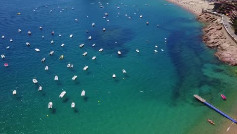 flying above yachts in a port in the mediterranean sea