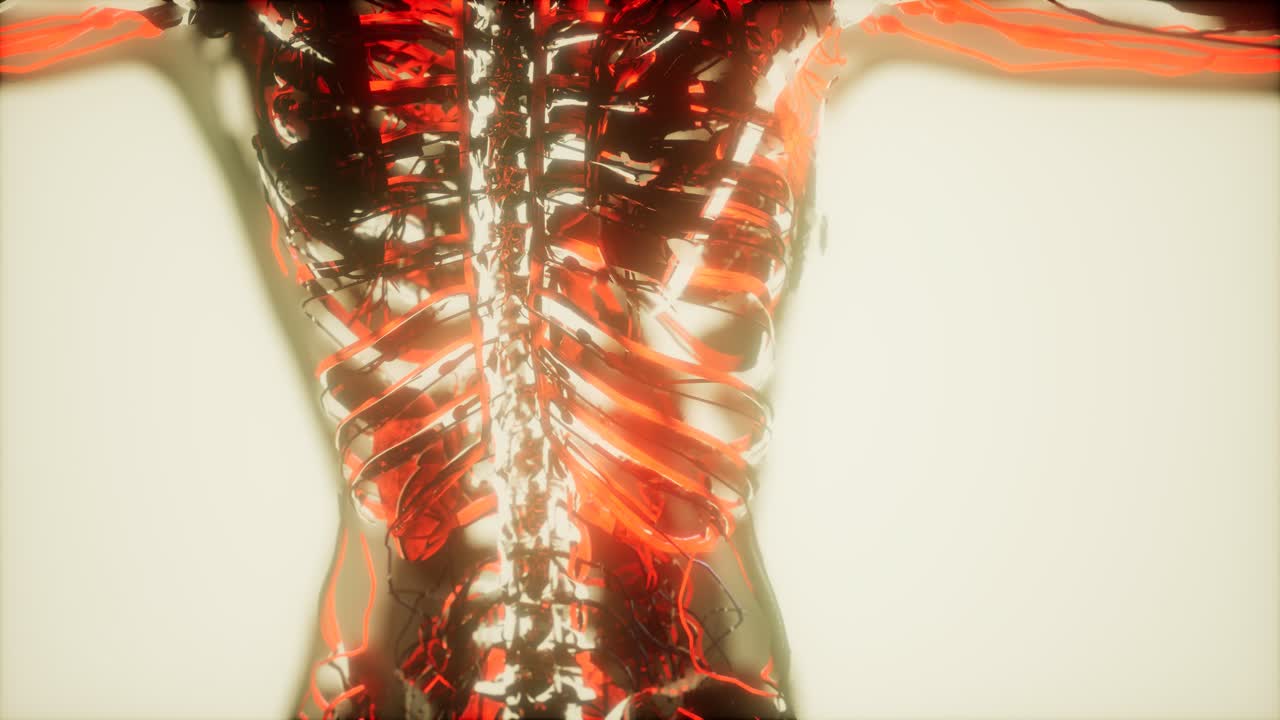 inspección de la sangre en los vasos sanguíneos del sistema circulatorio