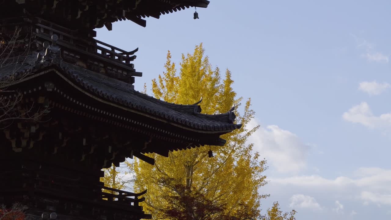 pagoda impresionante en kyoto con árbol de color amarillo de otoño.