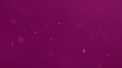 partículas fuera de foco flotando sobre un fondo rosa