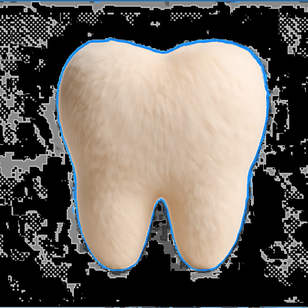 Furry tooth animation isolated asset, transparent 4K video, alpha channel, ProRes 4444