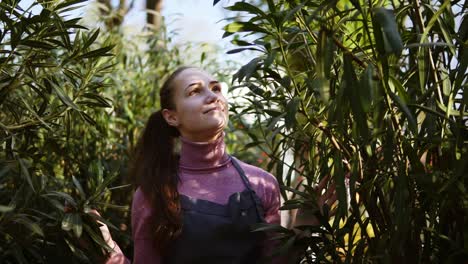 feliz mujer jardinera sonriente en delantal tocando las hojas de diferentes árboles mientras camina entre filas de árboles en un jardín o invernadero