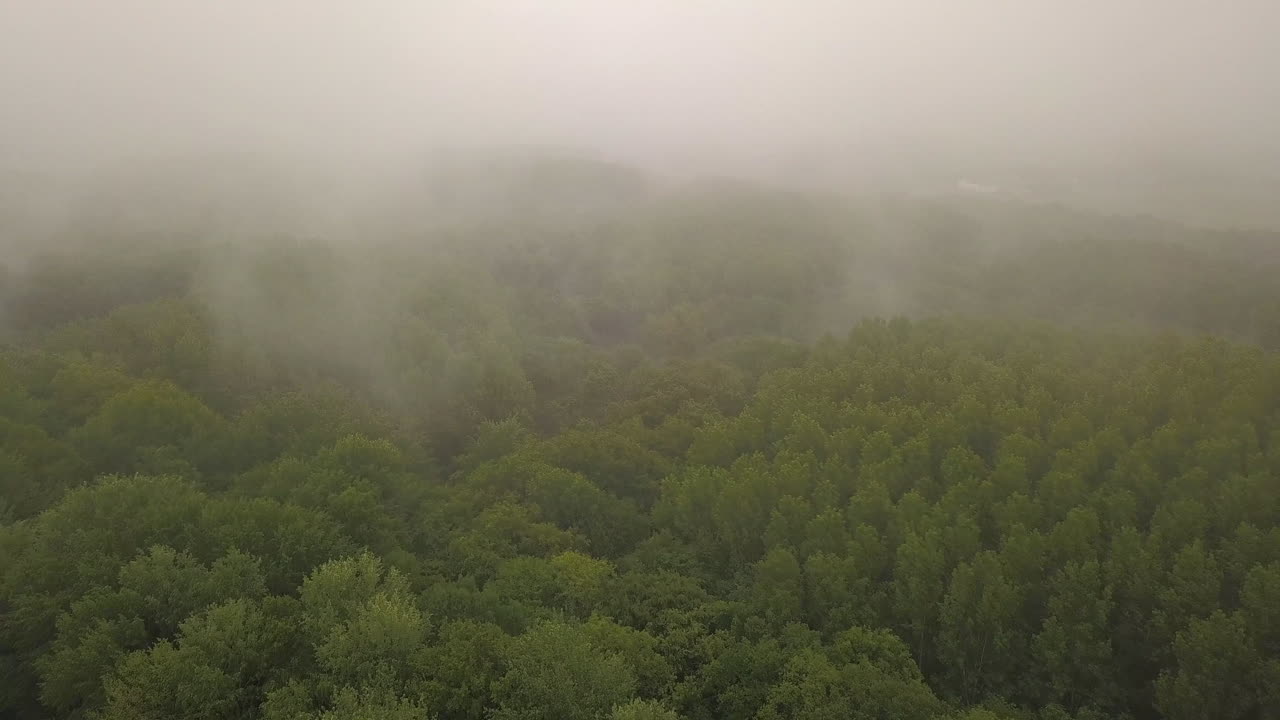 열대우림, 열대우림 위로 날아가는 항공 영상