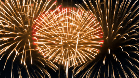 vibrant fireworks illuminate night sky animated overlay, transparent 4k video, alpha channel, prores