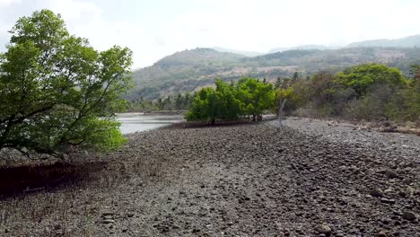 Reverse-arial-drone-over-remote-pebble-beach-with-coastal-trees-and-natural-mangrove-ecosystem-in-the-wilderness-of-remote-tropical-island