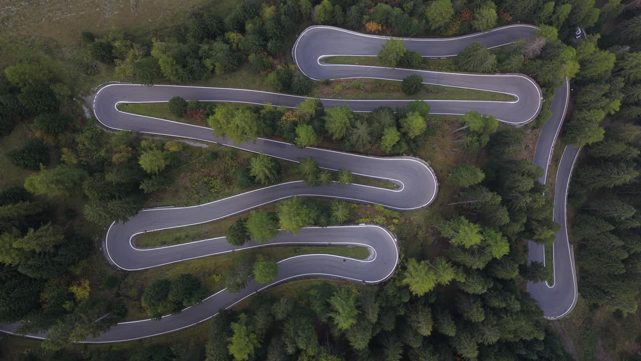 Hairpin turns asphalt in the forest of the Stelviopass, Italy. Driving road. Aerial top down view