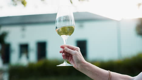 mujer brindando con una copa de vino al aire libre