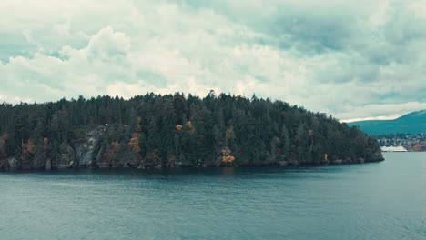 rocky forested island seen from the ocean