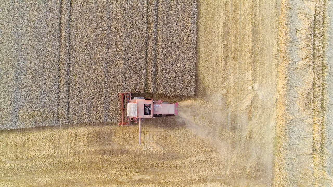 Harvesting Combine Harvester Harvesting Wheat 6