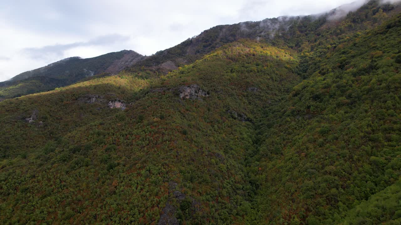 colores otoñales en la ladera de la montaña con una exuberante vegetación humeante después de la lluvia