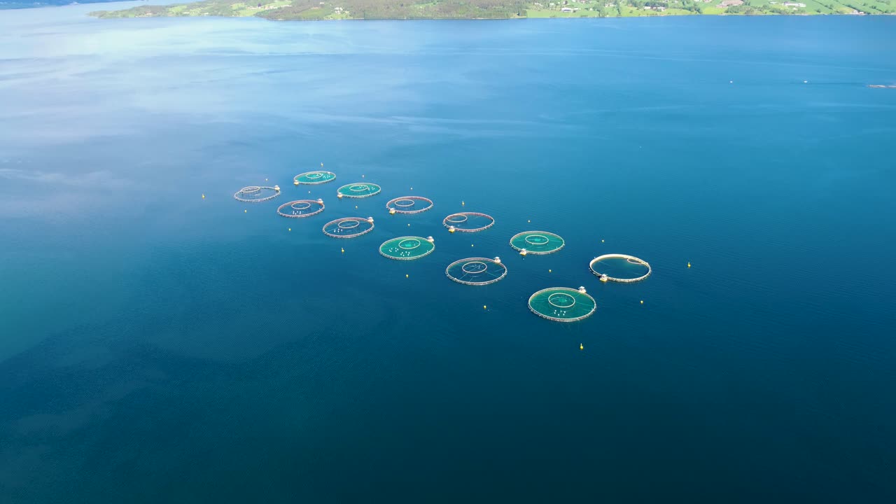 воздушные кадры рыболовства лосося на ферме в норвегии