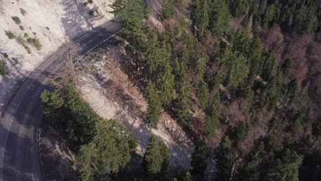 remote two-lane highway winds around a mountain covered in pine trees