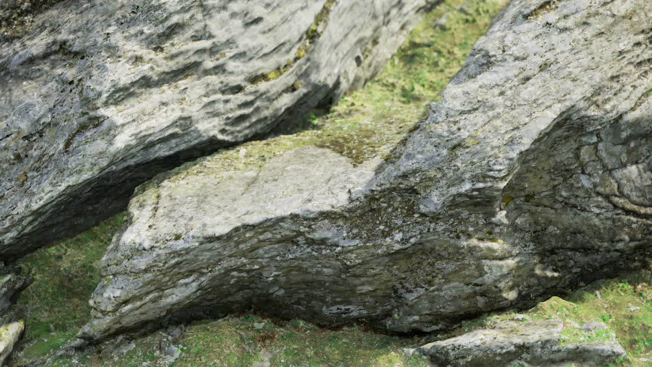 Textured rocks show rugged beauty in a wild landscape during daylight