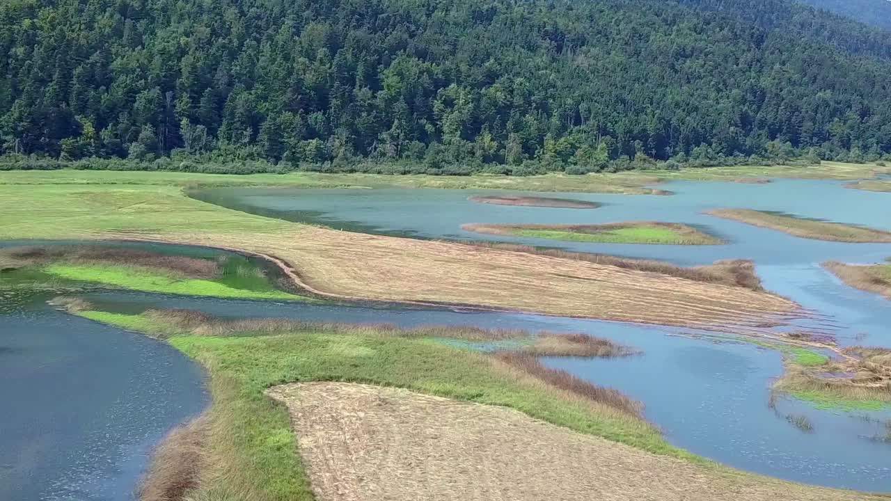 सेरक्निका झील, राक नदी पर एक धूप भरे गर्मी के दिन, पीछे जंगल के साथ एक झील का किनारा।