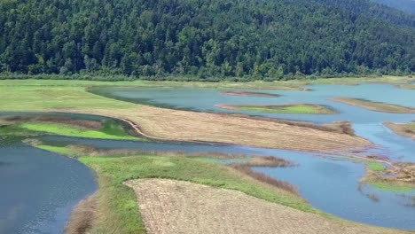 La-Orilla-De-Un-Lago-Con-El-Bosque-En-La-Parte-Trasera-Un-Día-Soleado-De-Verano-En-El-Lago-Cerknica,-Río-Rak