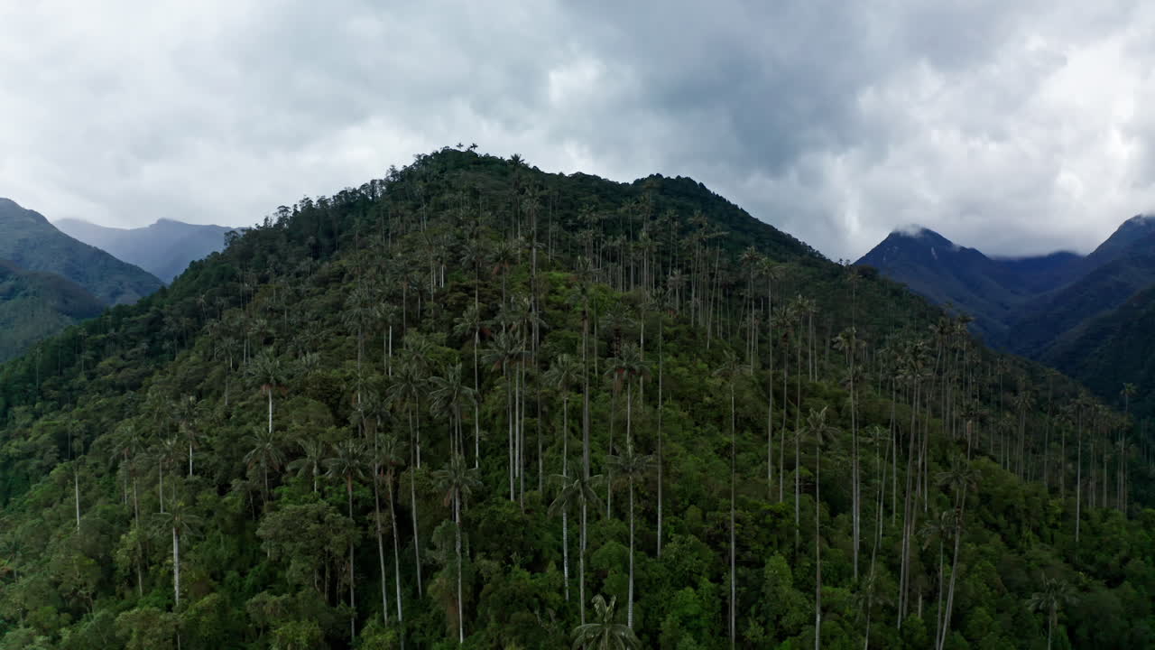 vista aérea desde un avión no tripulado del valle de cocora, salento, colombia