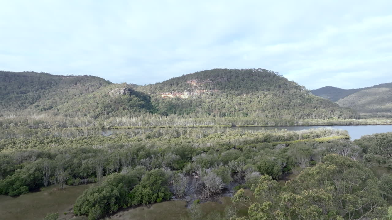 Drone shot clearing the tree canopy to reveal the Hawkesbury river near Lower Mangrove and Spencer, Australia