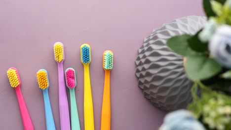cepillos de dientes coloridos y arreglos florales