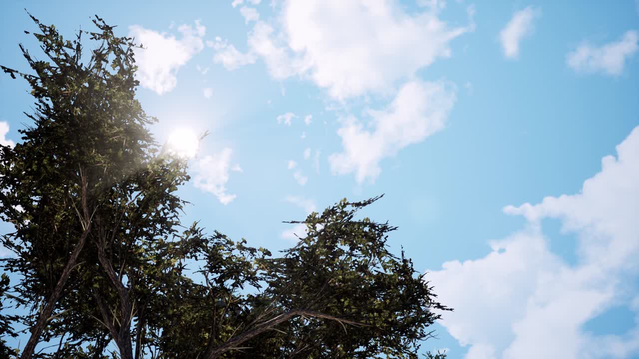 ramas de árboles viejos en un día soleado animación 3d. rayos de sol realistas que brillan a través del follaje verde. nubes blancas en el cielo azul en un cálido día de verano. flora de primavera iluminada por el sol brillante renderización