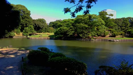 the beautiful park in tokyo