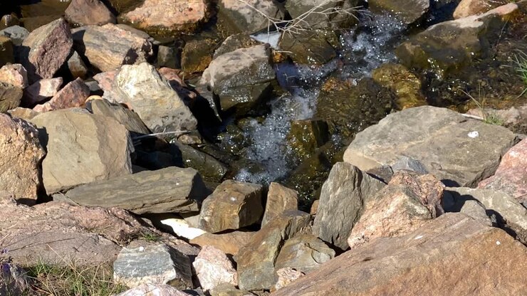 Water flowing amid rocks in tiny mountain stream on sunny day