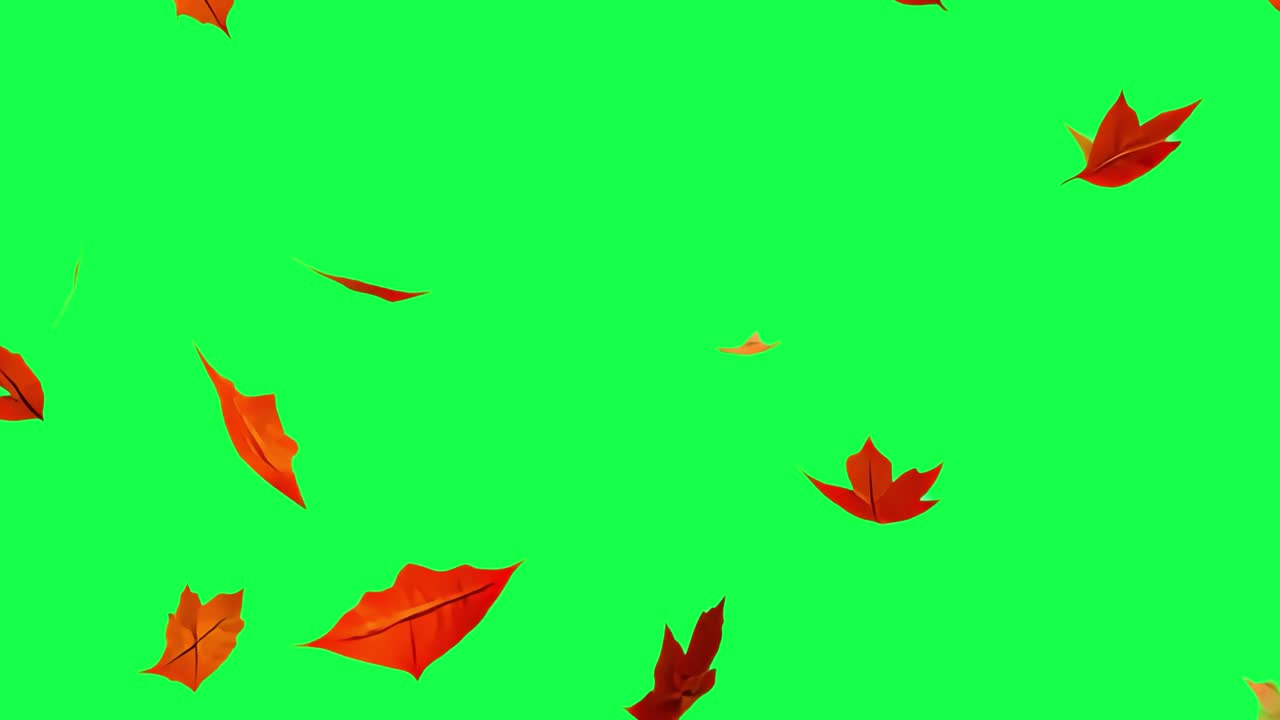 Animazione di foglie autunnali che cadono, video 4K trasparente, green screen
