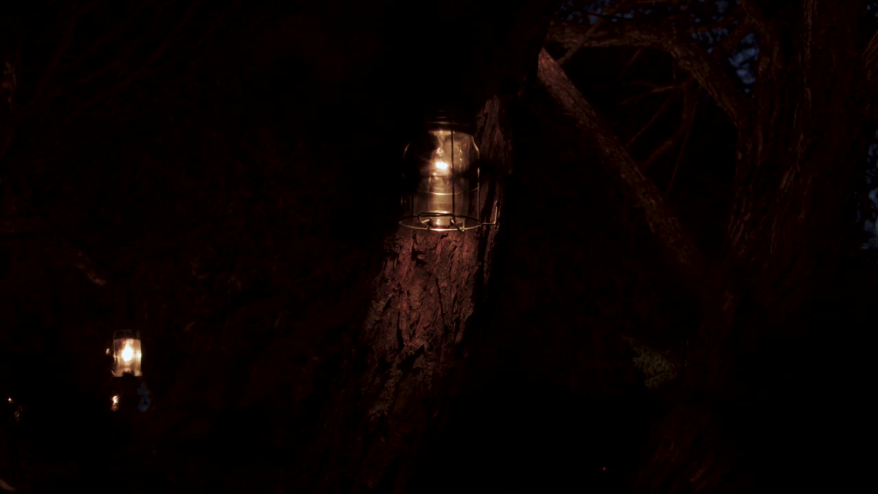 랜턴이 있는 나무 주위를 천천히 회전