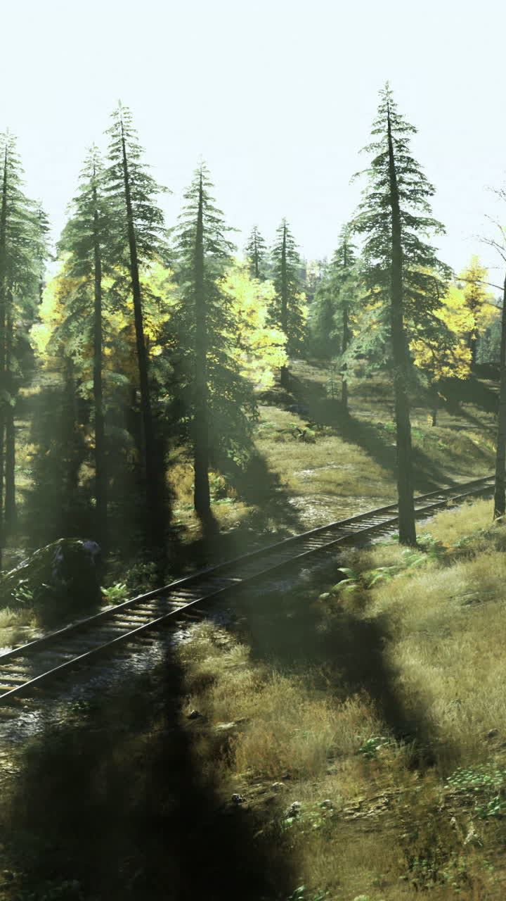 Scenic autumn landscape with railway tracks and vibrant foliage in sunlight