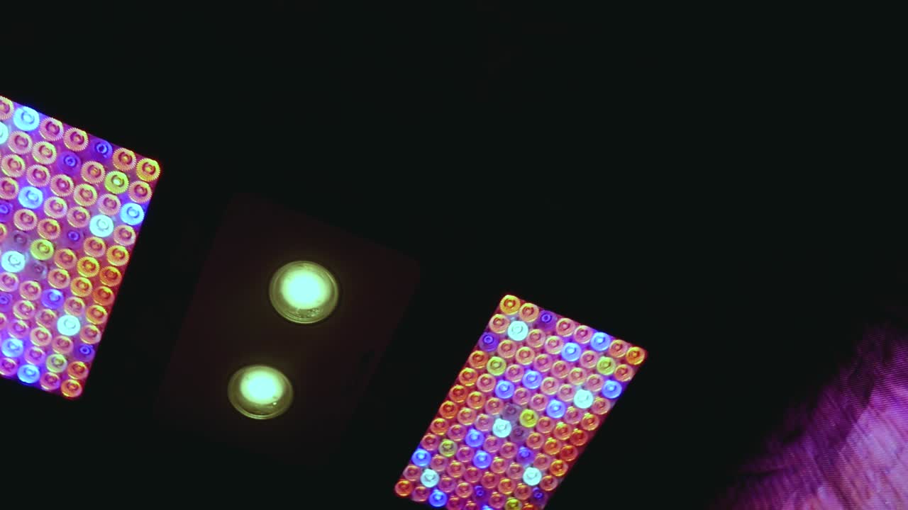 dyi canabis marijuana thc cbd 집은 조명과 환기가 있는 텐트에서 자라며 소규모 취미 예비 침실 설치