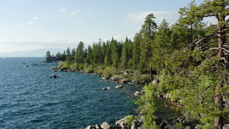 scenic view of lake tahoe shoreline with pine trees and rocky coast