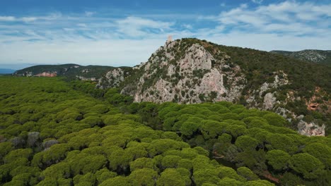 Maremma-National-Park-in-Tuscany,-Italy