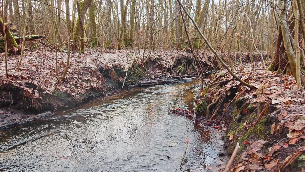 el río en el bosque de otoño y el sol brillando a través del follaje