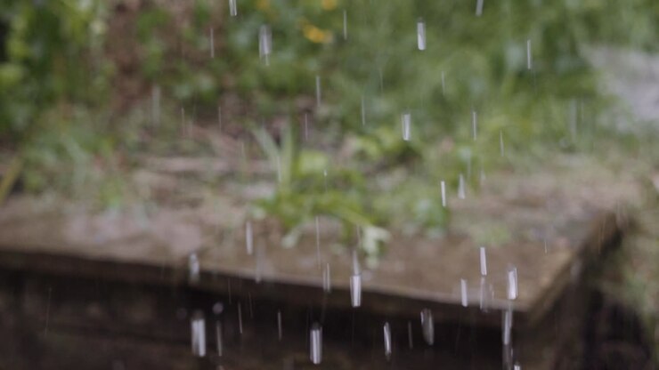 Raindrops from Overflowing Gutter Falling in Garden During Heavy Rain