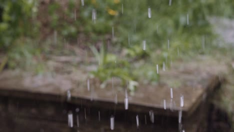 Regentropfen-Aus-überlaufender-Dachrinne-Fallen-Bei-Starkem-Regen-In-Den-Garten